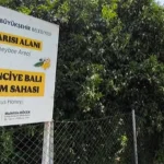 antalyada-narenciye-bali-koruma-altinda-ZvihYbAC.webp