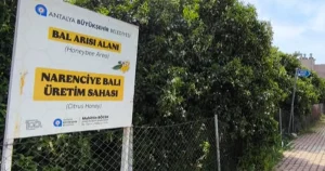 antalyada-narenciye-bali-koruma-altinda-ZvihYbAC.webp