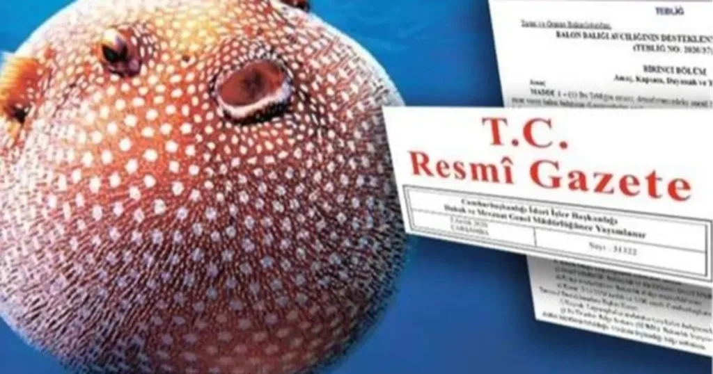 balon-baligi-avciligi-destegi-artirildi-bheV4VLi.webp