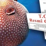 balon-baligi-avciligi-destegi-artirildi-bheV4VLi.webp