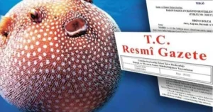 balon-baligi-avciligi-destegi-artirildi-bheV4VLi.webp