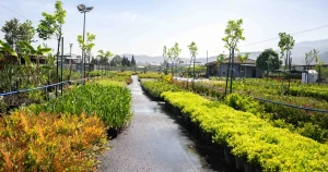 bornova-fidanligi-yeni-gorunumuyle-goz-kamastiriyor-AfVlKRO5.webp