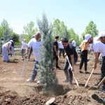 diyarbakirda-engelliler-fidan-dikerek-gelecege-nefes-oldu-17MbVdCD.webp