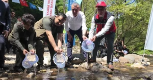 kocaeli-kirazdereye-2-yilda-16-bin-alabalik-salindi-86kCQMMc.webp