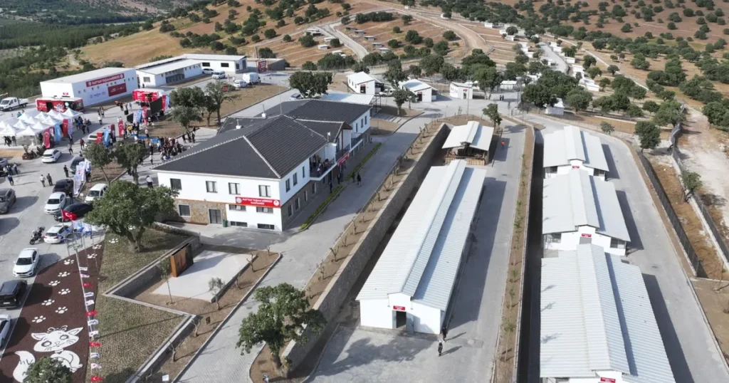 manisada-sokak-hayvanlari-icin-hayvan-yasam-merkezi-hizmete-acildi-8x59tP7v.webp
