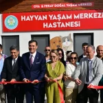manisada-sokak-hayvanlari-icin-hayvan-yasam-merkezi-hizmete-acildi-Brb4CESR.webp