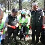 orman-yanginlarina-karsi-es-zamanli-temizlik-nkr6J2Nk.webp