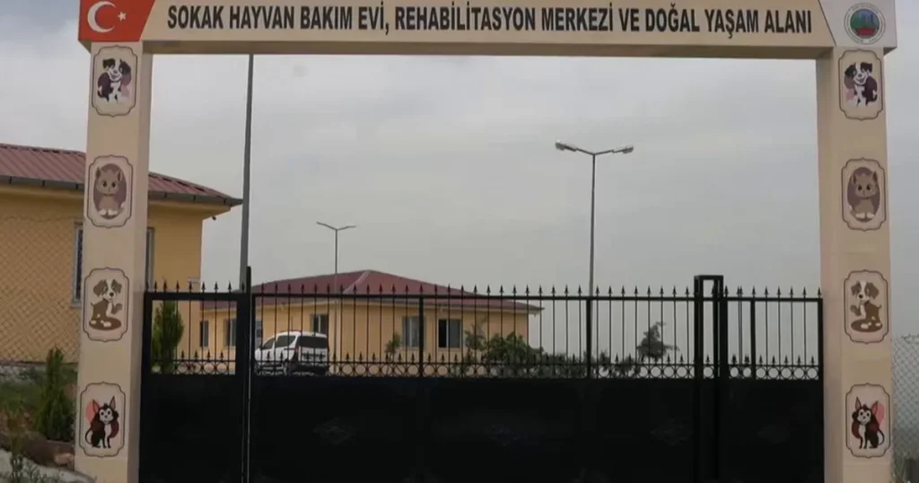 siirtte-sokak-hayvanlari-icin-dev-proje-Q1uVvH4D.webp