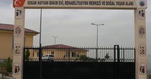 siirtte-sokak-hayvanlari-icin-dev-proje-Q1uVvH4D.webp