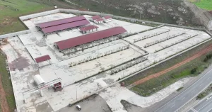 sivasta-kurban-pazari-kovaliya-kuruluyor-VImOtaIK.webp