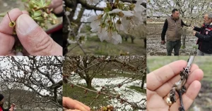 tbmm-zirai-don-arastirma-komisyonu-uye-secimi-resmilesti-iRV7A9uj.webp