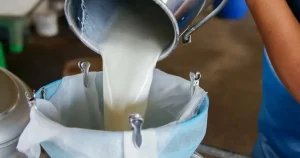 turkiyede-sut-uretimi-yukseliyor-martta-1-milyon-15-bin-ton-sut-toplandi-IGhspJbi.webp