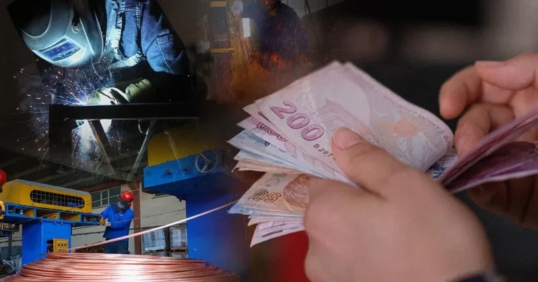 ucretli-calisan-sayisi-yillik-artti-aylik-azaldi-Ku6gOMZQ.webp